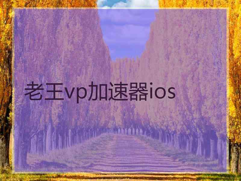 老王vp加速器ios