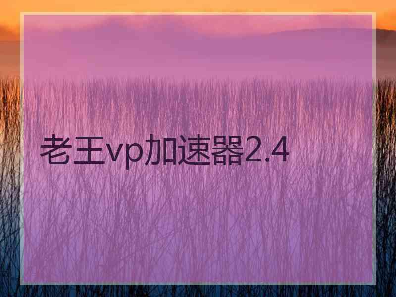 老王vp加速器2.4