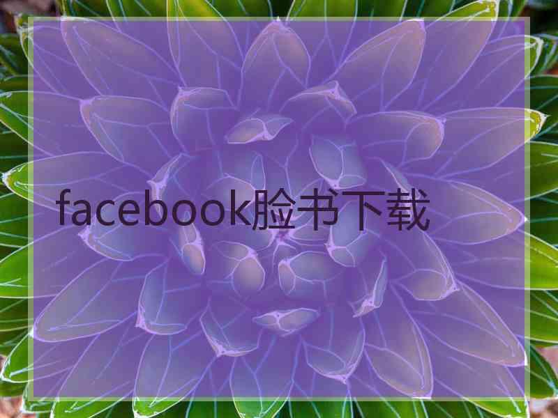 facebook脸书下载